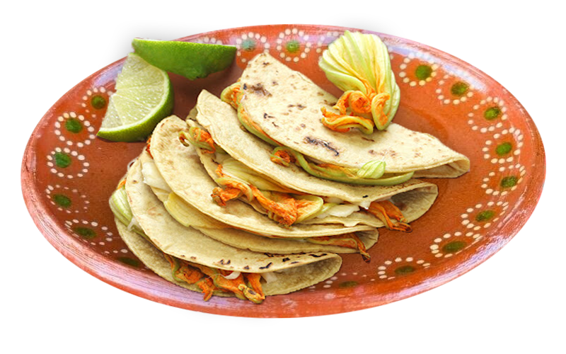 quesadilla_fotos-retoque-web-menu